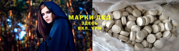 стафф Володарск