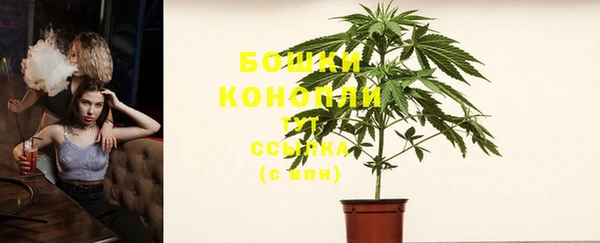 стафф Володарск
