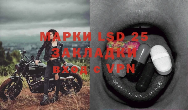 стафф Волосово
