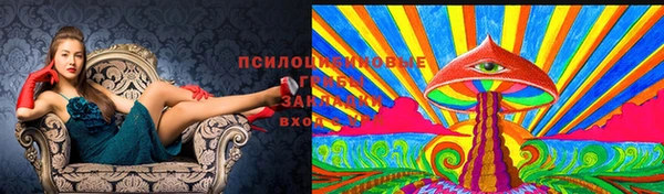 стафф Волосово