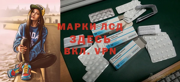стафф Володарск