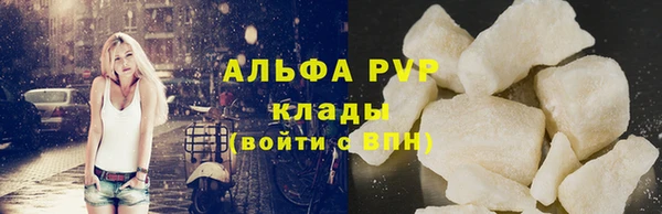 стафф Володарск