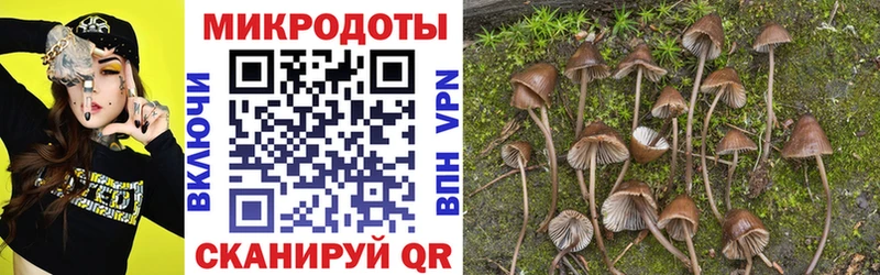 Галлюциногенные грибы Psilocybine cubensis  Купить  Питкяранта 